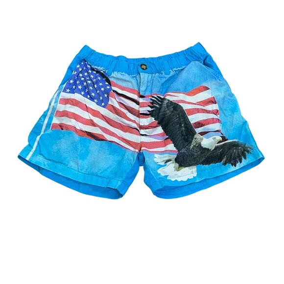 Chubbies Shorts USA Flag Eagle Button Zip Elastic 4" Shorts Large - Picture 1 of 7